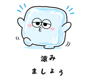 852921336