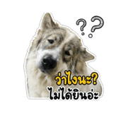 852921368
