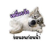 852921370