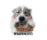 852921371