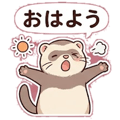 852921446