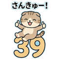 852921842