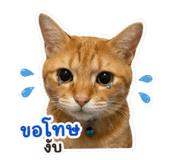 852926351