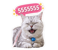 852926868