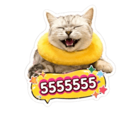 852926870
