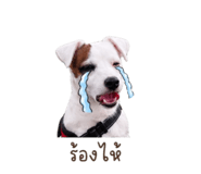 852928186