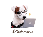 852928189