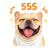852929997