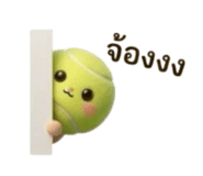 852932848