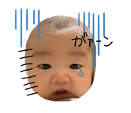 852933844