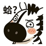 852936458