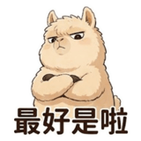 852936844