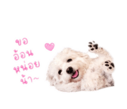 852942053