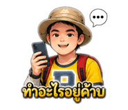 852942666