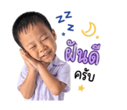 852944445