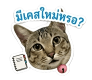 852945375