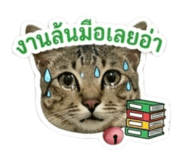 852945378