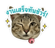 852945382