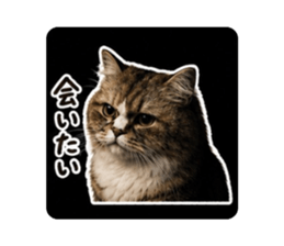 852945764