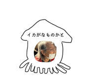 852946181