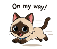 852946566