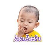 852951161