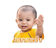 852951164