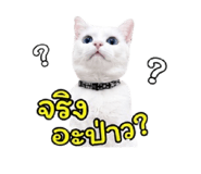 852953597