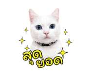 852953599
