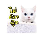 852953605