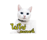 852953609