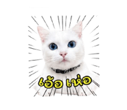 852953610