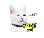 852953615