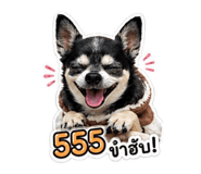 852953702