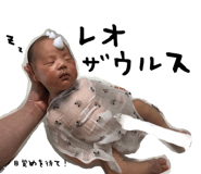 85295464