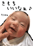 85295466