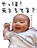 85295485