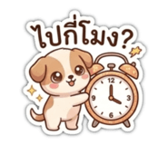 852957605