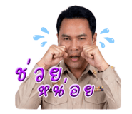 852957637