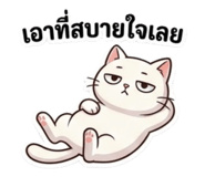 852965962
