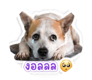 852967913