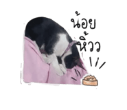 852970308
