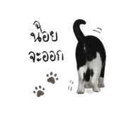 852970310