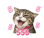 852979209