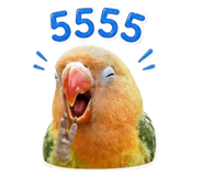 852979302