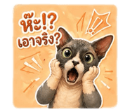 852982030