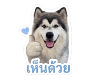 852983544