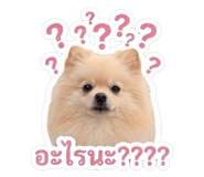 852983548