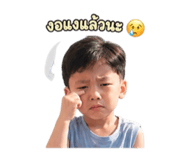 852985518