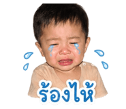 852985540